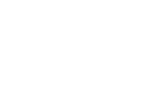 DVS Entertainment
